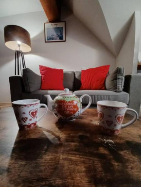 Appartement duplex classé 4 étoiles plein centre village Saint-Lary-Soulan